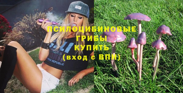 ГАЛЛЮЦИНОГЕННЫЕ ГРИБЫ Куровское