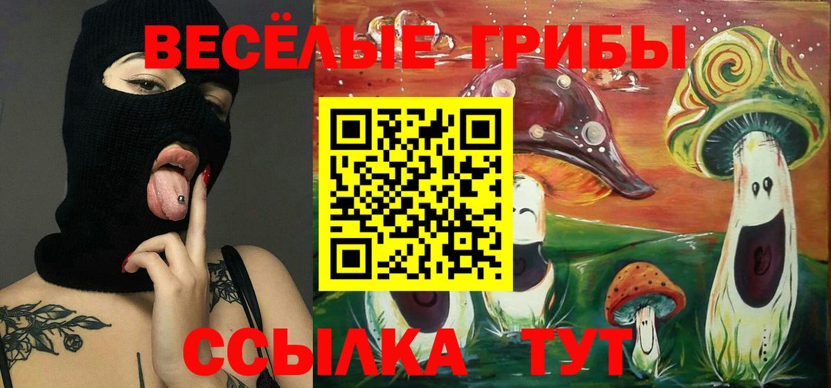 Марихуана  NBOMe  МЕФ кристаллы  Cocaine  Марихуана  Кодеин  Курчалой  Alpha PVP СК кристаллы  Гашиш  Мефедрон кристаллы 