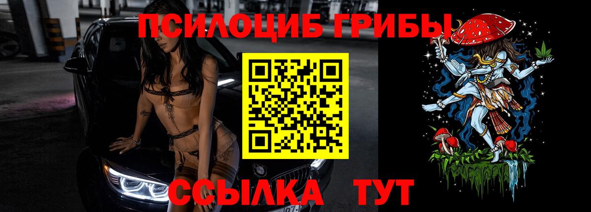Псилоцибиновые грибы GOLDEN TEACHER  Вход с VPN  Курчалой  Галлюциногенные грибы Magic Shrooms 